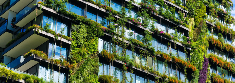 s%2C800%2C800-671798