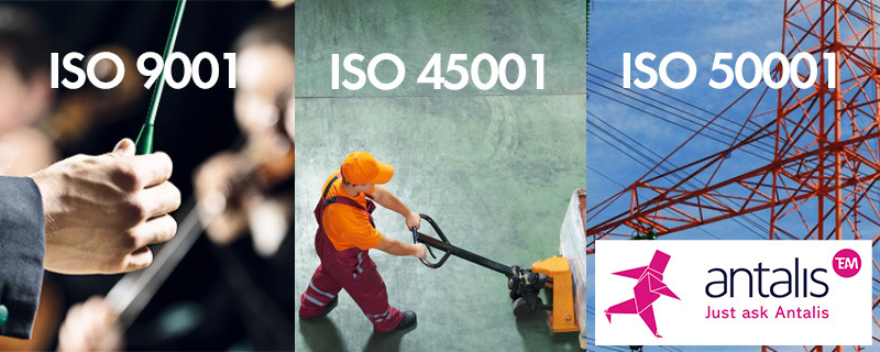 Antalis renouvelle ses certification ISO 9001, ISO 45001 et ISO 50001
