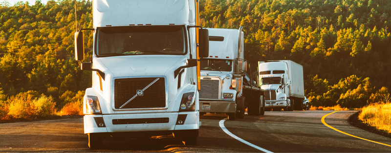 s%2C800%2C800-038109