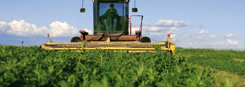 s%2C800%2C800-212a95